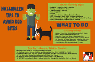  Halloween Tips to Avoid Dog Bites