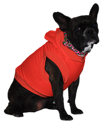  French Bulldog Hoodie T-Shirt - Fits 16 to 30 Pound Dog - Available in 6 Colors!