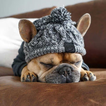  Winter Fashion Dog Hat Windproof Fluffy Knitted Polar Pom Hat