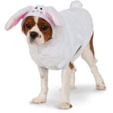  Bunny Pet Hoodie Costume