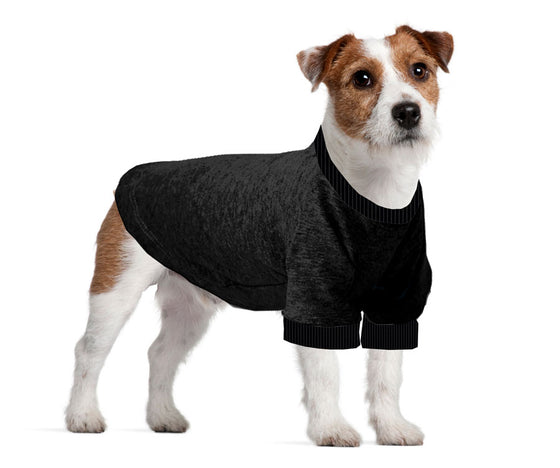 Jack Russel / Rat Terrier Long T-Shirt - Fits 9 to 12 Pound Dog - Available in 6 Colors!