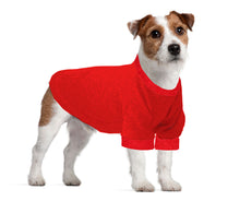  Jack Russel / Rat Terrier Long T-Shirt - Fits 9 to 12 Pound Dog - Available in 6 Colors!