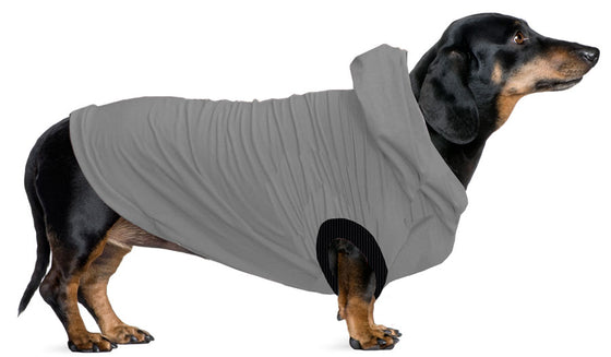 Jack Russel/Terrier/Dachshund (Mini) Hoodie T-Shirt - Fits 9 to 12 LB Dog - Available in 6 Colors!