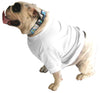 English Bulldog BIGGER THAN BEEFY Shorty T-Shirt - Fits 56 to 80 Pound Dog - Available in 6 Colors!