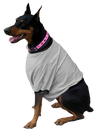 Boxer / Doberman Shorty T-Shirt - Fits 56 to 110 Pound Dog - Available in 6 Colors!