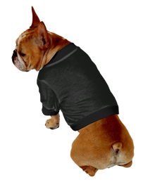  French Bulldog Shorty T-Shirt - Fits 16 to 30 Pound Dog - Available in 6 Colors!