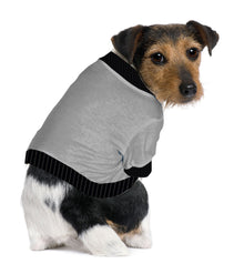  Jack Russel/Pom/Rat Terrier Shorty T-Shirt - Fits 9 to 12 LB Dog - Available in 6 Colors!