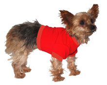  Chihuahua / Yorkie Shorty T-Shirt - Fits 5 to 9 Pound Dog - Available in 6 Colors!