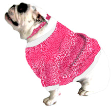  English Bulldog BEEFY Shorty Sweatshirt - Fits 31 to 55 LB Dog - Lots of Patterns to Choose From!