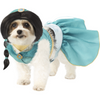 Princess Jasmine Aladdin Pet Costume