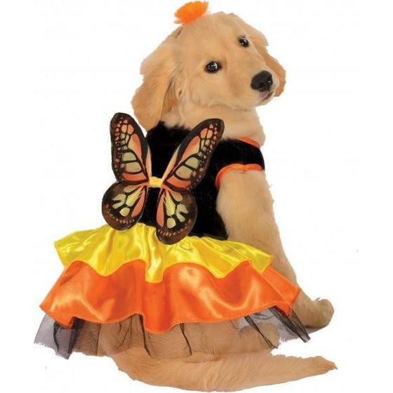 Beautiful Butterfly Pet Costume