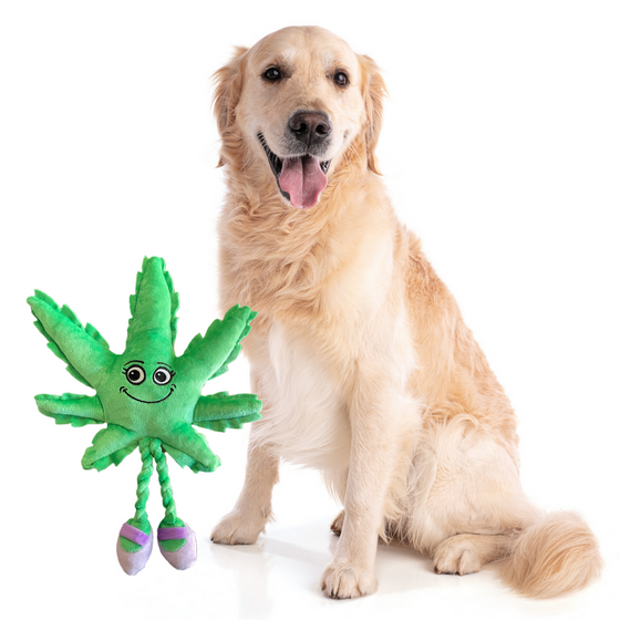 Mary Jane the Marijuana Leaf 420 Dog Toy