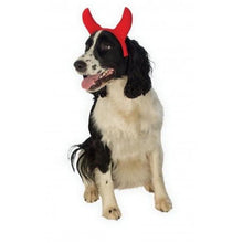 Devil Dog & Cat Horns
