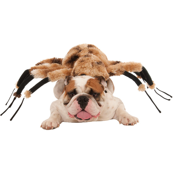 Giant Spider Pet Costume
