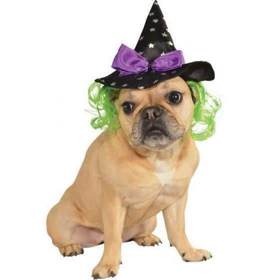 Witch Dog Hat With Hair