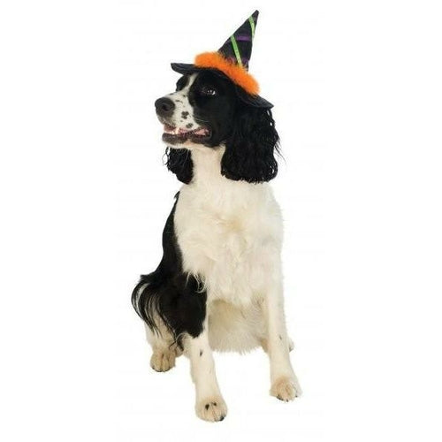 Witch Pet Hat With Orange Trim